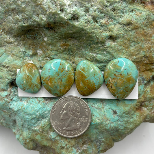 Freeform Cabochons 398