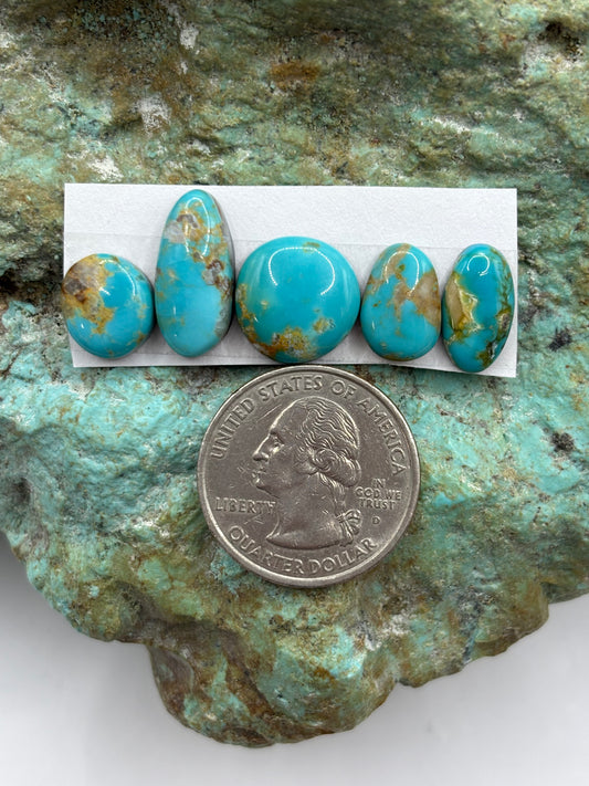 Freeform Cabochons 423