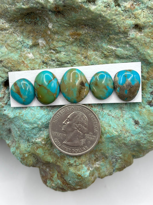 Freeform Cabochons 433