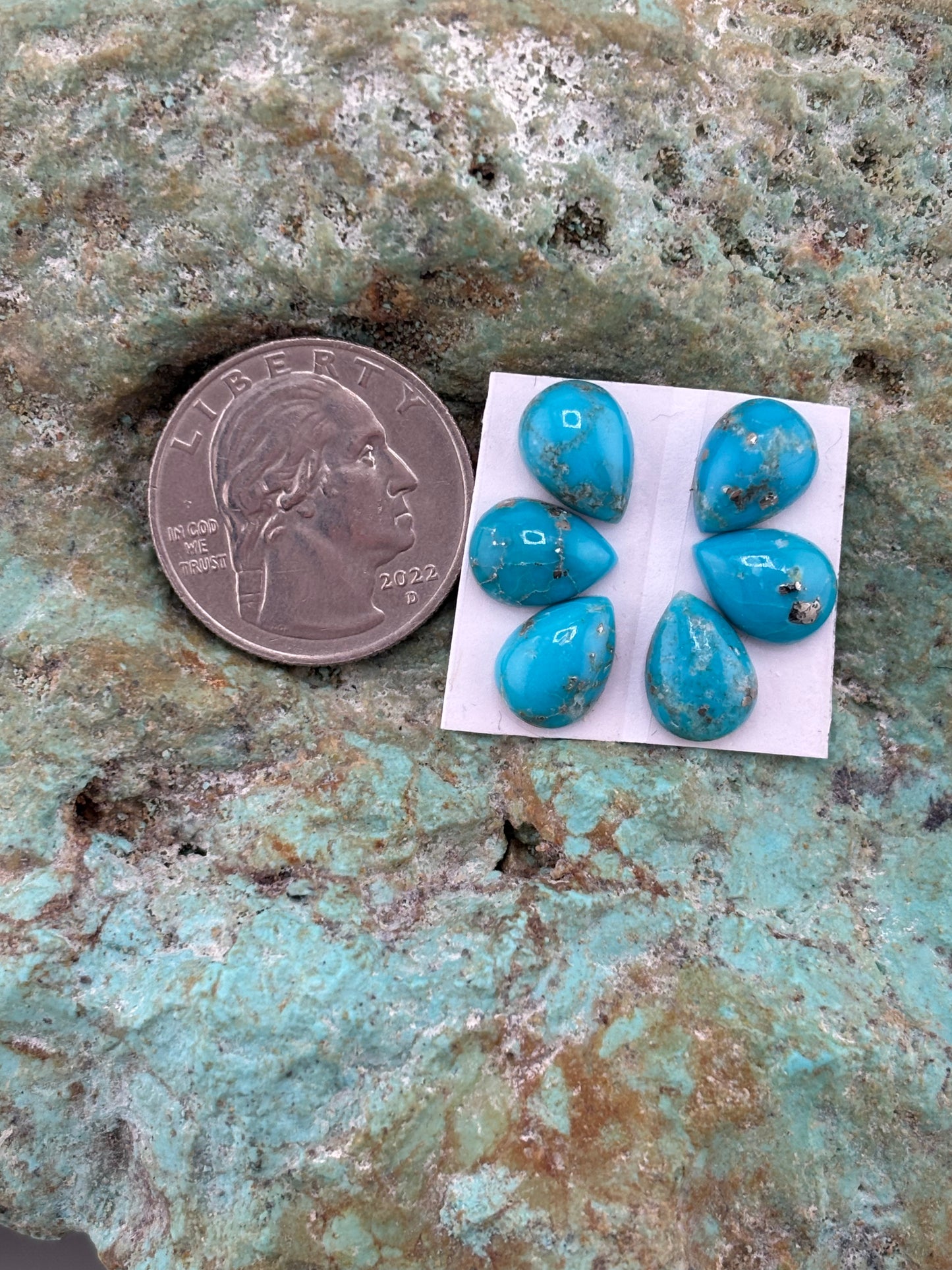 Petals 20 Calibrated Cab Set