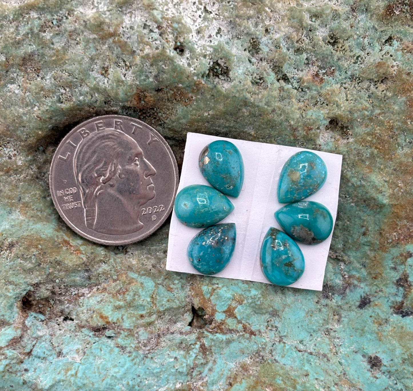 Petals 25 Calibrated Cab Set