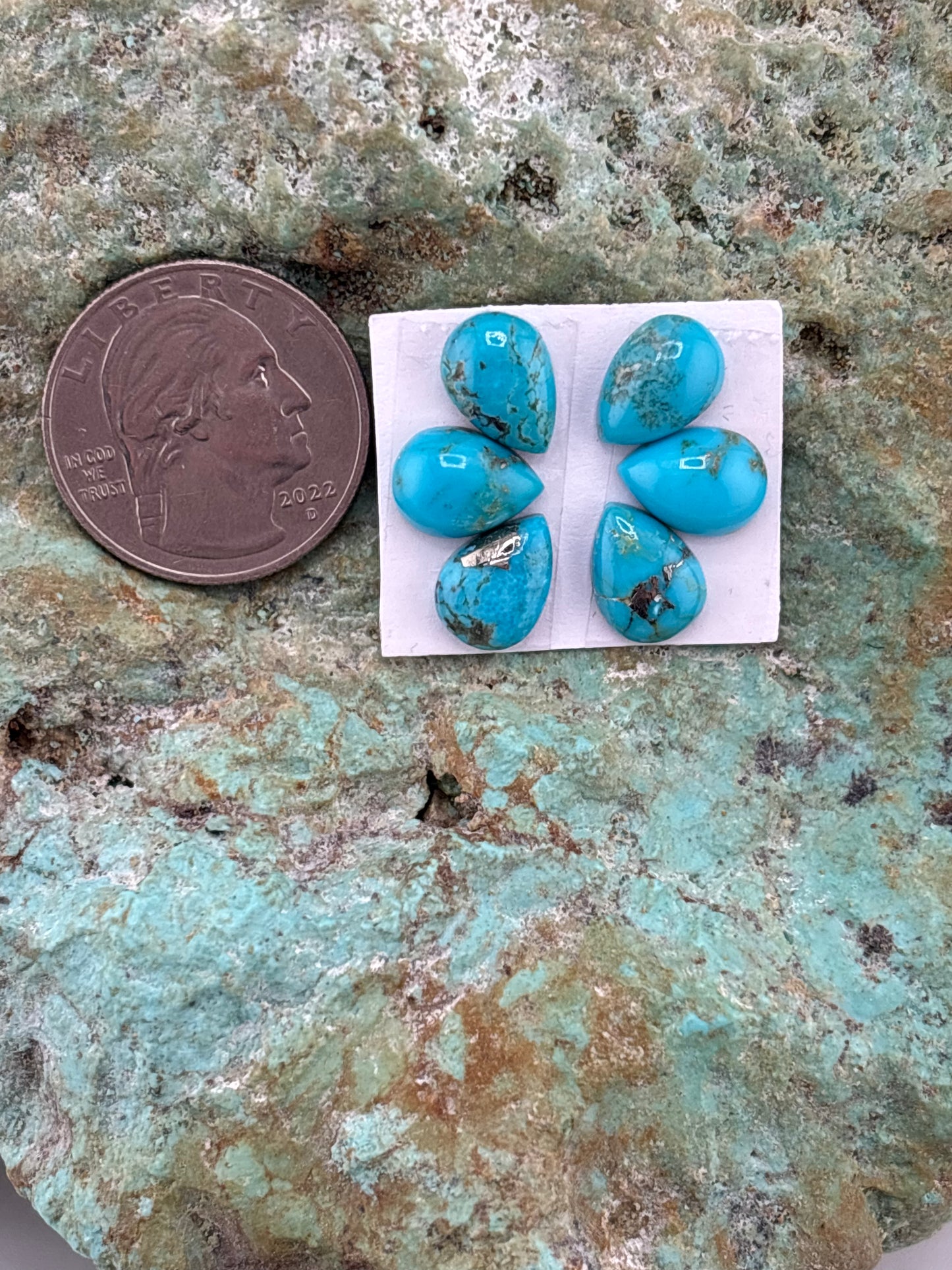 Petals 28 Calibrated Cab Set