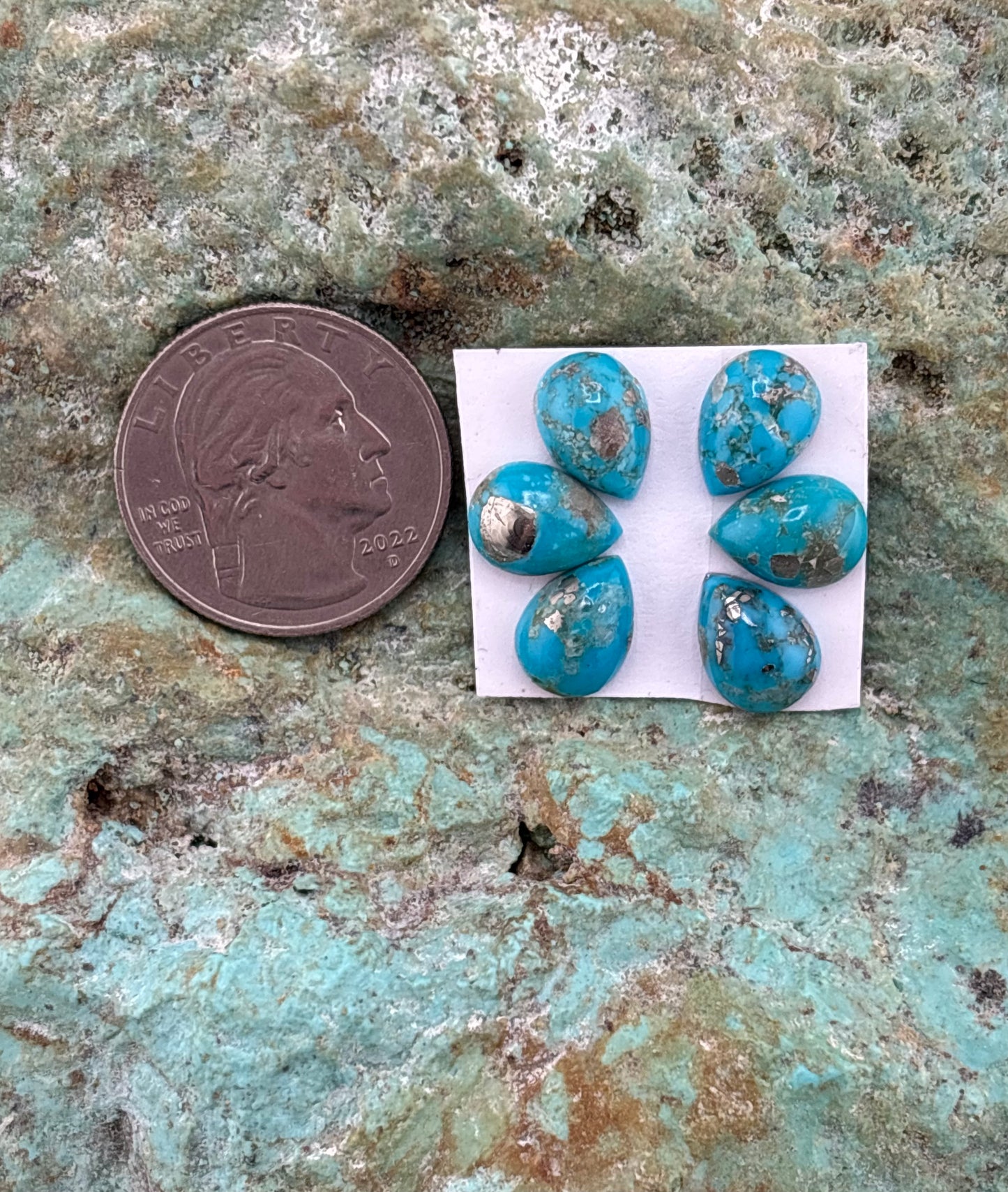 Petals 29 Calibrated Cab Set
