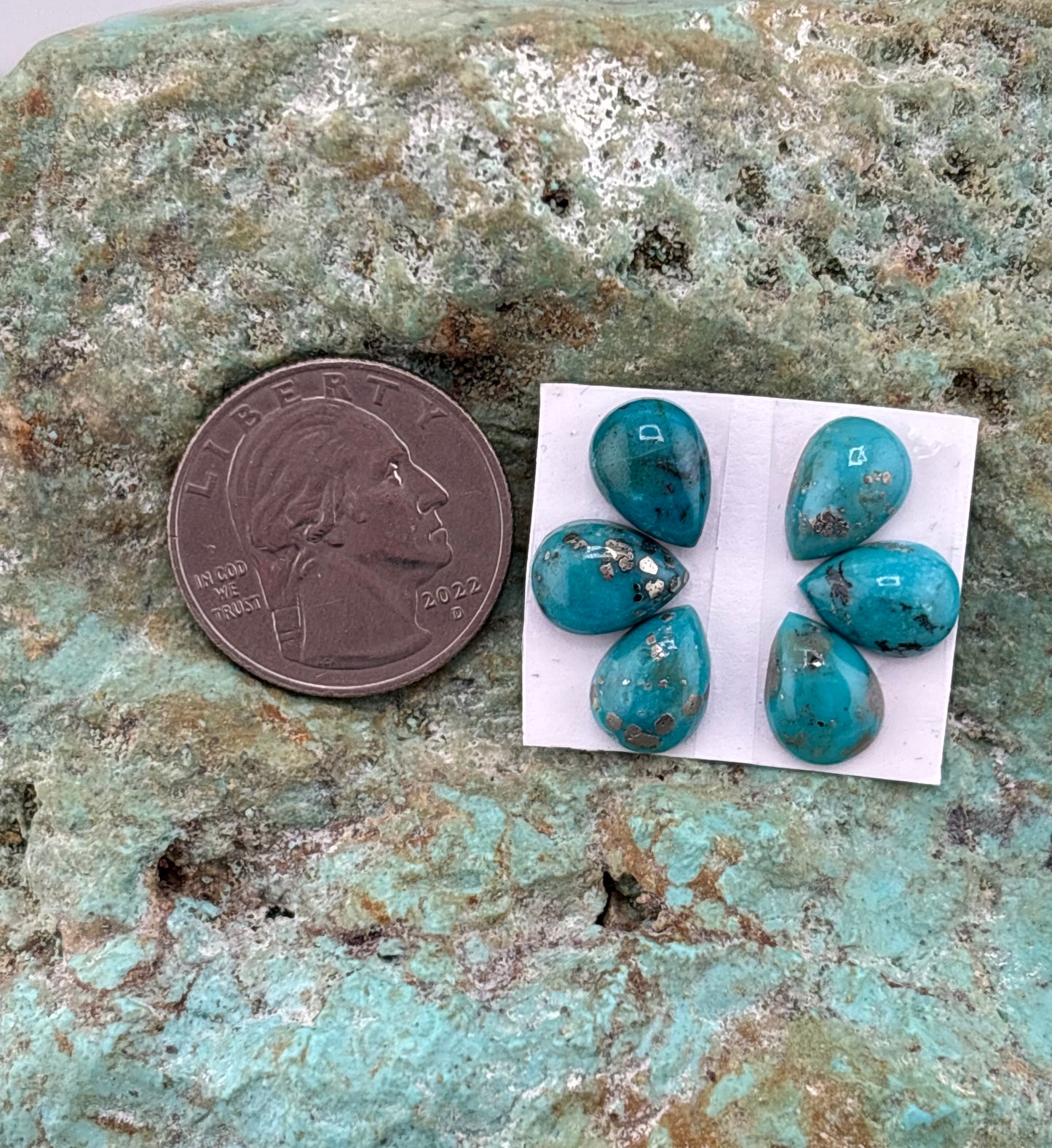 Petals 30 Calibrated Cab Set