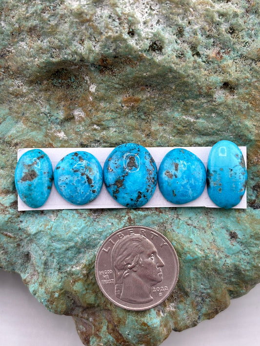 Freeform Cabochon 803