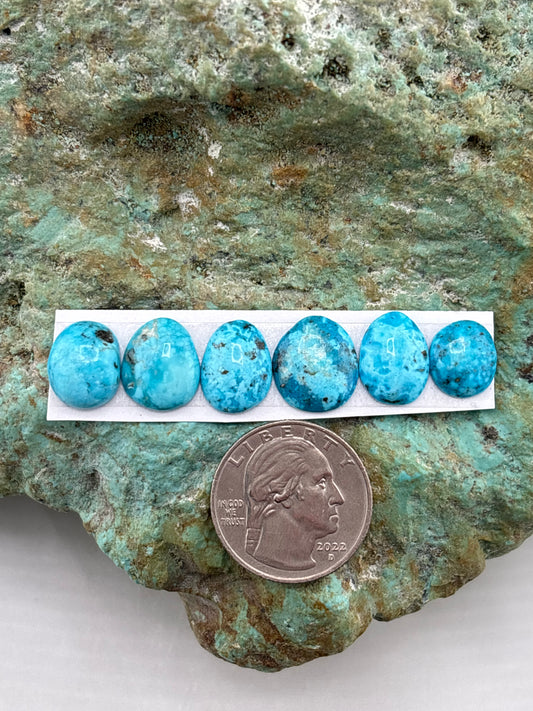 Freeform Cabochons 811