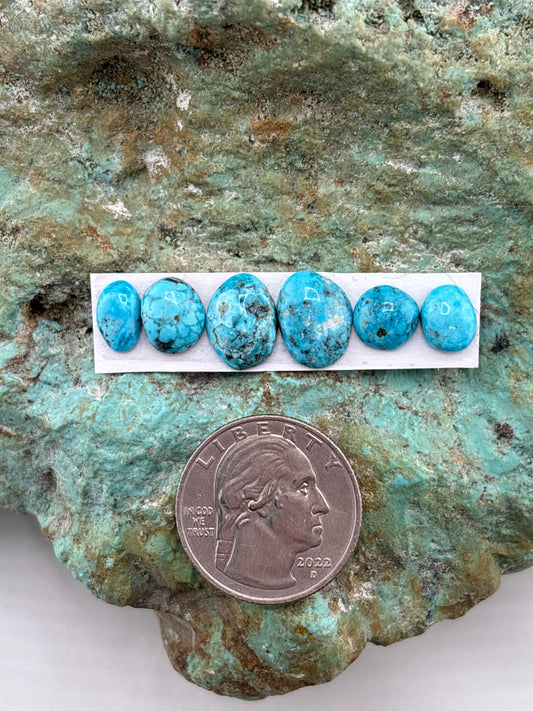 Freeform Cabochons 814