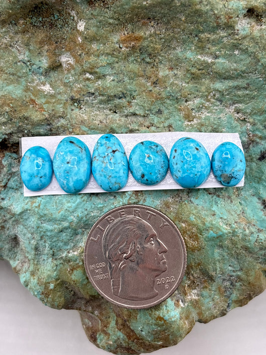 Freeform Cabochons 828