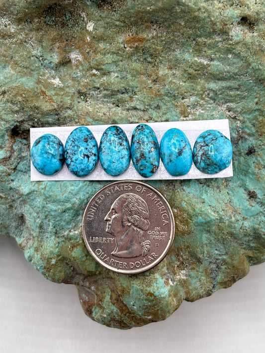 Freeform Cabochons 832