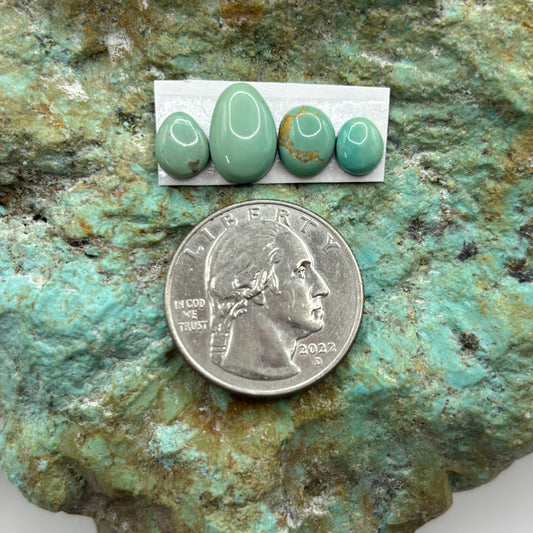 Freeform Cabochons 446
