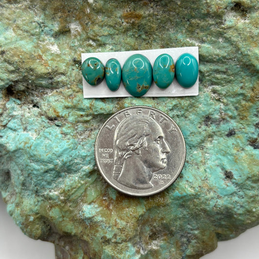 Freeform Cabochons 456