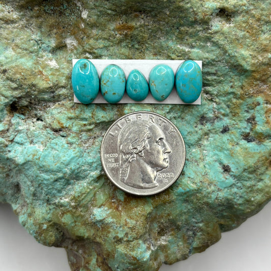 Freeform Cabochons 460